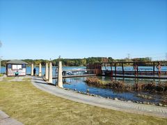 -昆山城市生态森林公园