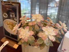 -清水蘭軒