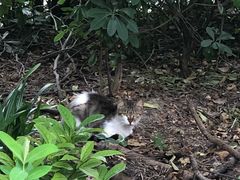 -苏州河梦清园环保主题公园