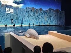 -珠海长隆海洋王国