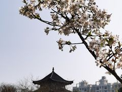 -堤角公园