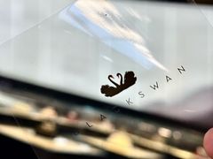 -BLACKSWAN黑天鹅(环球店)