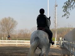 -北京群众马术培训基地