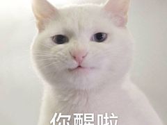 -万泰装饰(英雄山路店)