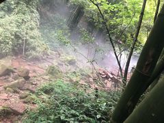 -川西竹海景区