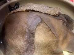 特色毛肚-小龙坎火锅(黄河店)