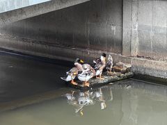 -浙江省博物馆(孤山馆区)