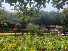 -韶山毛泽东同志故居