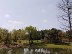 -尚贤河湿地