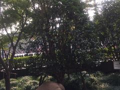 -上海市第三女子中学