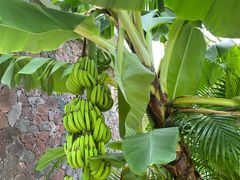 -东寨港红树林旅游区