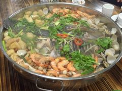-鸭嘴鱼