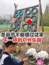 -前小桔亲子创意农场·草莓采摘·露营烧烤