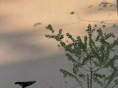 -榆漫居·高空City View府邸(广州天河体育中心石牌桥地铁站店)