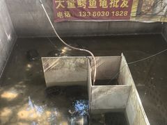 -龟场私房菜