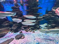 -多彩贵州城极地海洋世界