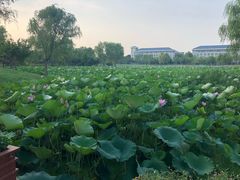 -东南大学(九龙湖校区)