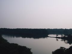 -大湾区中央湿地公园