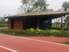 -白鹭湾湿地公园