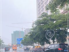 -三亚新鸿港水果一级批发市场