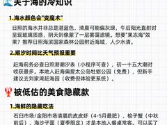 -日照海滨国家森林公园