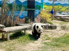 -苏州太湖国家湿地公园