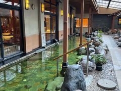 -大江户·温泉洗浴(浑南店)