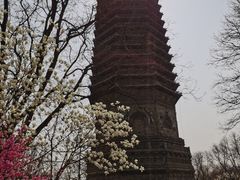 -玲珑塔公园