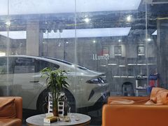 -车艺佳龙膜隐形车衣汽车贴膜(宝山丰宝店)