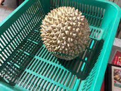 黑金猫山王-都念榴莲·城市榴莲