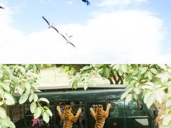 -深圳野生动物园