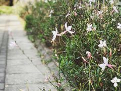 -南通博物苑-崇川人民公园