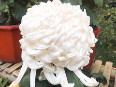 -汇龙潭