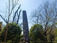 -上海佘山国家森林公园天马山园