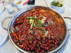 -味之绝热血美蛙鱼火锅(中坝店)