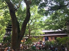 -普陀山风景名胜区-法雨禅寺