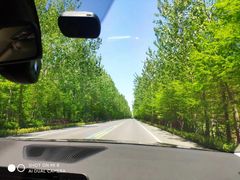 -盐城丹顶鹤湿地生态旅游区