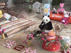 -海南热带野生动植物园