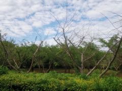 -同里国家湿地公园