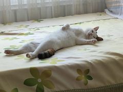 -邵汇大虾(泉园一路店)