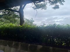 -白云山风景名胜区