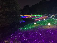 -广西壮族自治区药用植物园