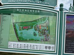 -荷兰花海
