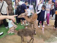 -正佳雨林生态植物园