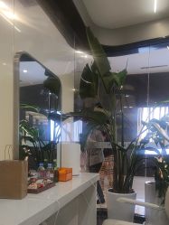 -时尚殿堂salon