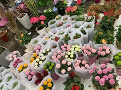 -三圣花乡旅游区