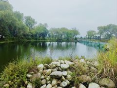 -鄱阳湖国家湿地公园
