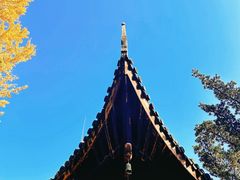 -龙华寺