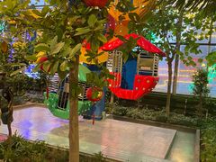 -南宫五洲植物乐园