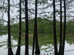 -尚湖风景区